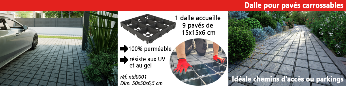 Dalle spéciale pavés carrossables